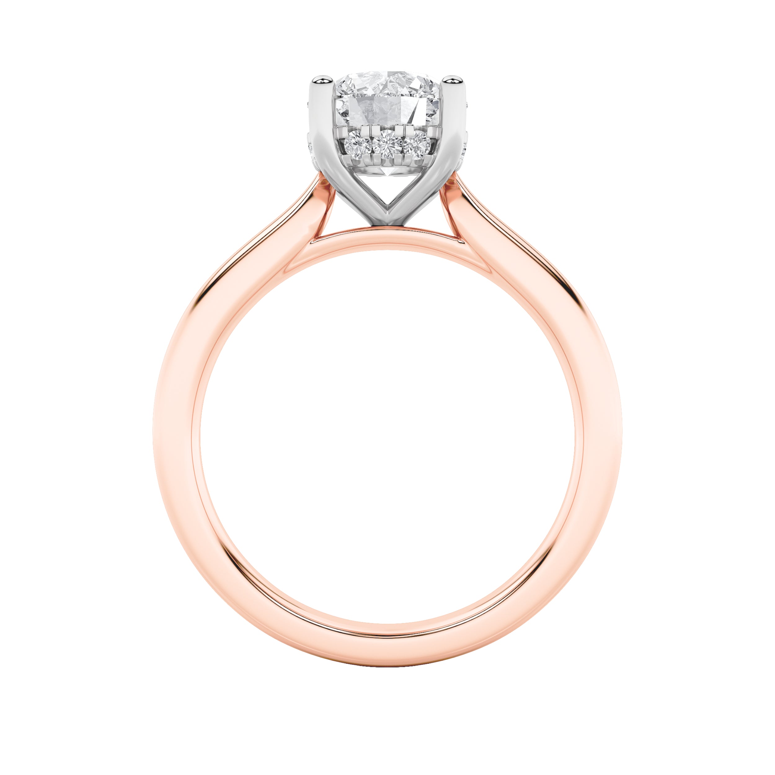 3Cttw Round Shaped Lab Grown Diamond (F/VS) HiddenHalo Cathedral Shank Engagement Ring in 14K Gold